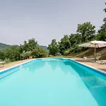 Pugnano Alto - Grano *