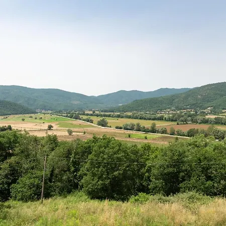 Pugnano Alto - Grano